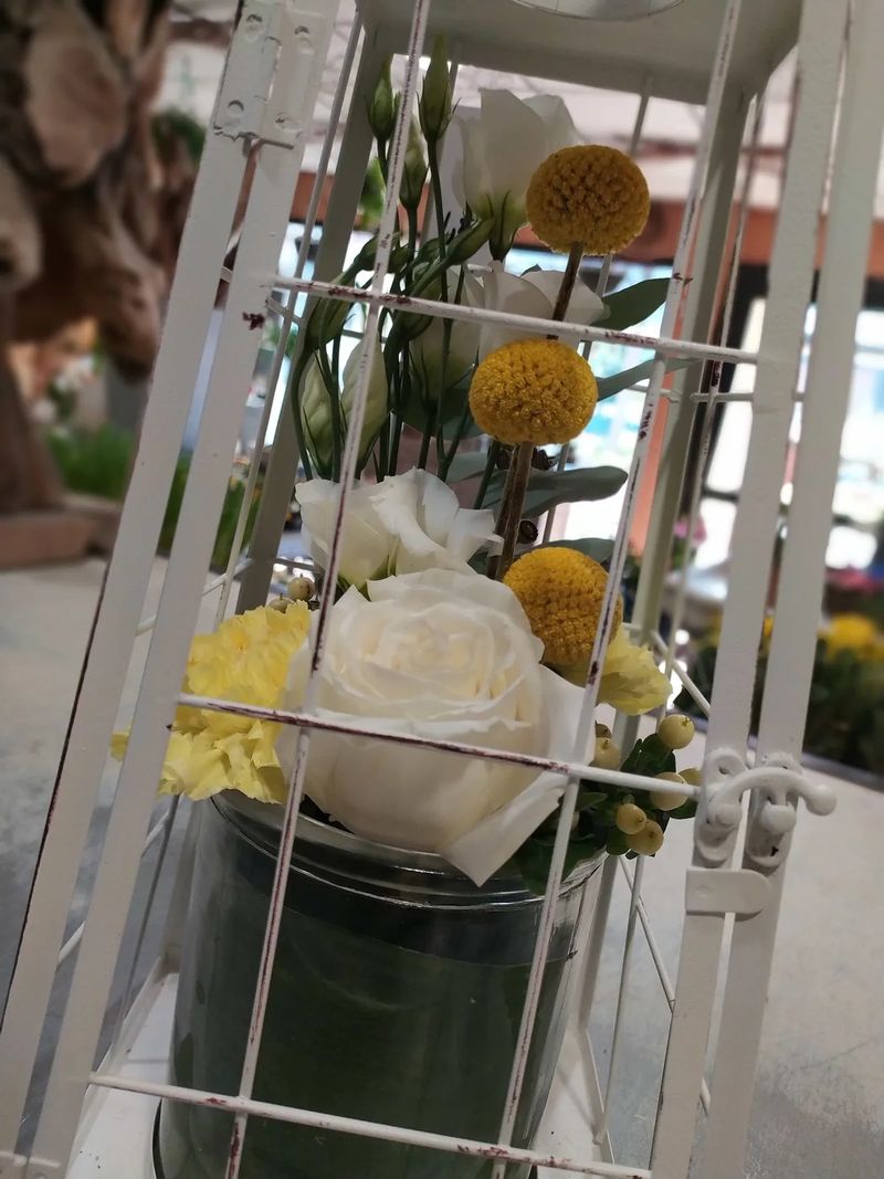 Détail d'une composition montée dans une lanterne de métal blanc : rose blanche, craspedia jaunes et lisianthus